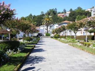 Galeria de Fotos - 